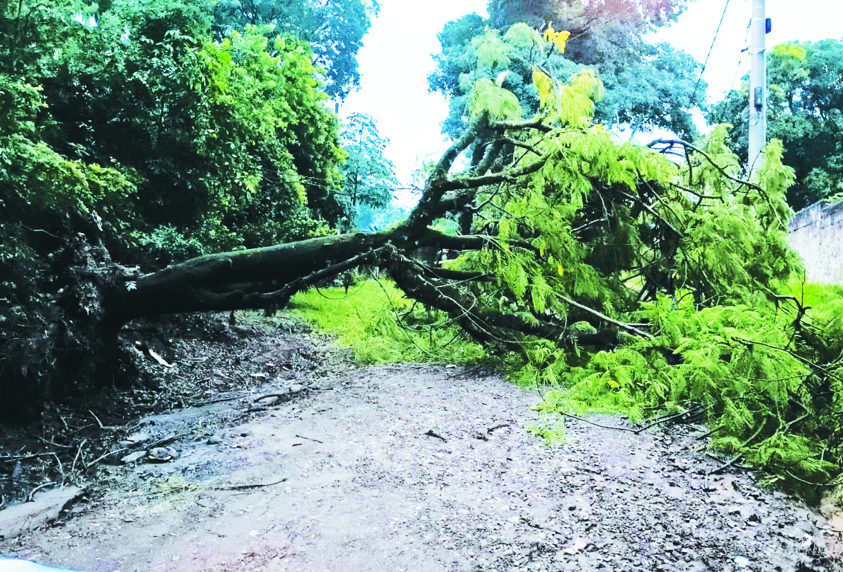 Defesa Civil de Capivari, equipada, preparada e competente